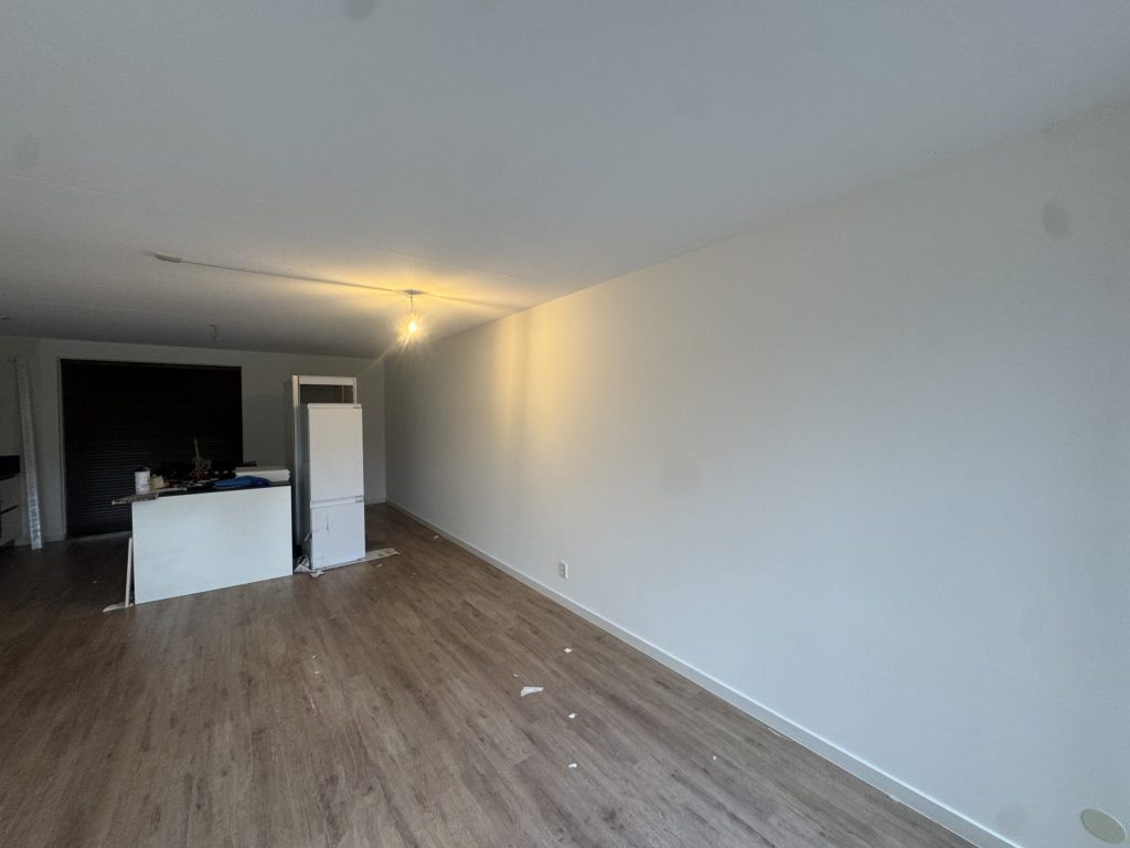 Lange woonkamer met een gladde witte wand, een houten vloer en een keukenblok achterin